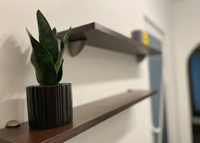 Sity Апартаменты *