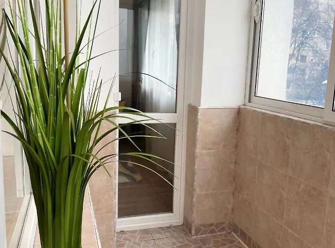 Апартаменты Sity *